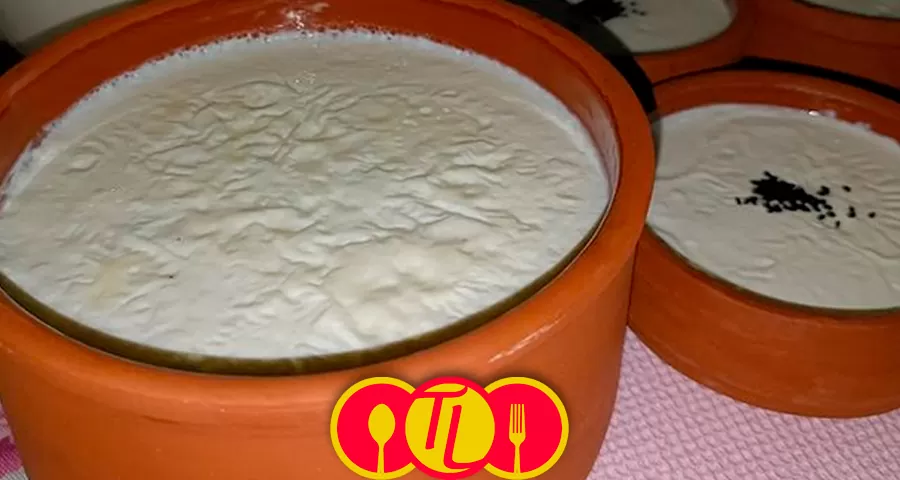 yoğurt-nasıl-mayalanır